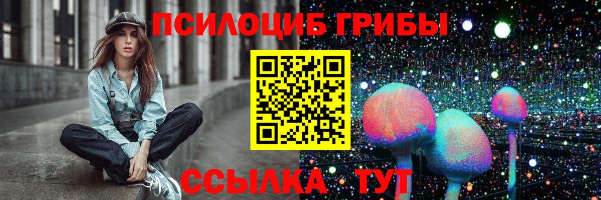 Псилоцибиновые грибы мицелий  Вход с VPN  Урус-Мартан 